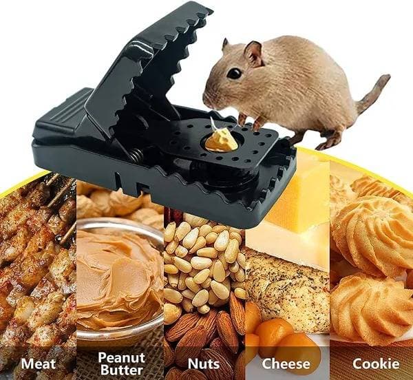 Mouse Killer Trap 2Pcs Combo (ইঁদুর মারার  ফাঁদ প্লাস্টিক মাউস ট্র্যাপ 2 পিস) thumbnail 3