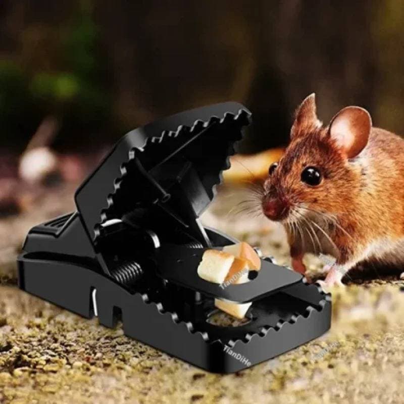 Mouse Killer Trap 3Pcs Combo (ইঁদুর মারার ফাঁদ ৩পিস) thumbnail 2